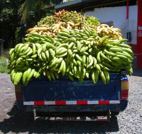 Boquete food truck with bananas – Best Places In The World To Retire – International Living
